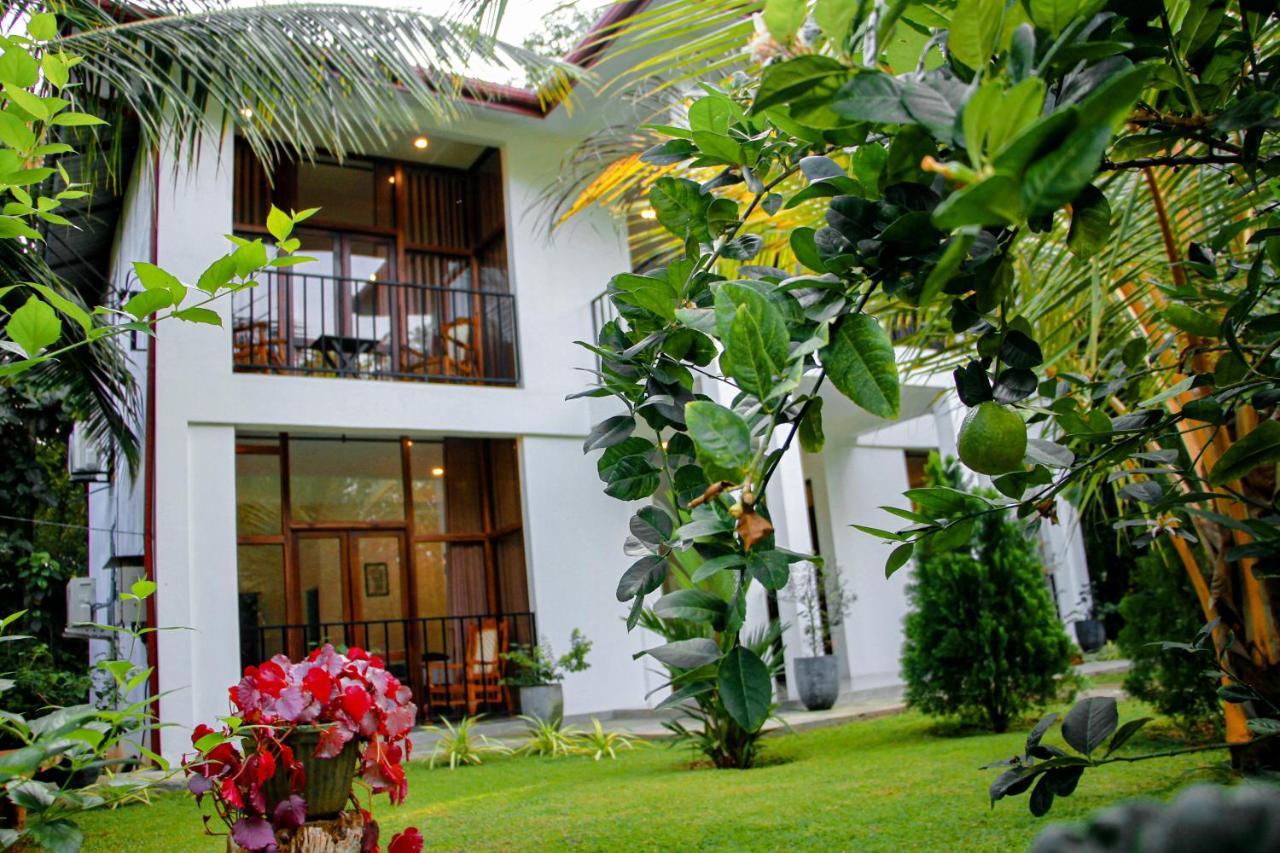 Manike Lodge הבאראנה מראה חיצוני תמונה